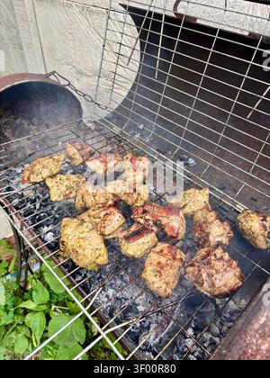 Saftiger Schweineschaschen-Kebab, der über heißen Kohlen mit Rauch gegrillt wird. Hochwertige Fotos Stockfoto