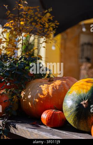 Eine bezaubernde Herbstvorstellung mit lebhaften Kürbissen, die mit natürlichem Laub angeordnet sind. Unterstreicht die Schönheit von handgefertigtem, nachhaltigem, saisonalem Dekor Stockfoto