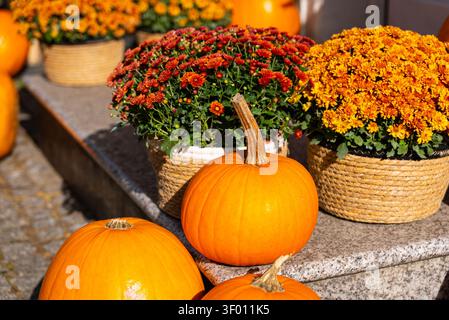 Knallige orangefarbene Kürbisse kombiniert mit lebendigen Chrysanthemen in handgefertigten, gewebten Körben. Diese herbstliche Szene fängt das Wesen der natürlichen, nachhaltigen Natur ein Stockfoto