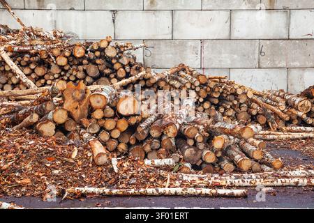 Nahaufnahme von gestapelten Holz-Birkenstämmen und Baumrinde auf einem industriellen Lagerplatz in der Nähe einer Betonblockwand Stockfoto