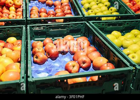 Rote, grüne und gelbe Äpfel in Plastikboxen. Frische Obst-Hintergrund für gesunde Ernährung, Ernährungsernte, Landwirtschaft und saisonale Produkte. Stockfoto