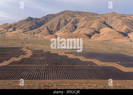 Eine Solarfarm im Versorgungsbereich erstreckt sich über die Hochwüste im Norden Nevadas, mit dramatischen kargen Hügeln, die steil im Hintergrund aufsteigen. Stockfoto