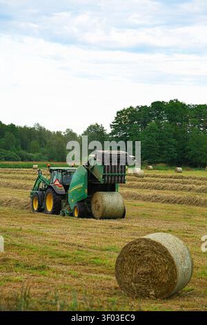 Gorzow Wielkopolski, Polen - 06.16.2024 In einem produktiven landwirtschaftlichen Feld sammelt Ein Traktor mit einer Rundballenpresse Heu zu Ballen Stockfoto