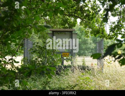 Verteilerkasten mit Außenscheinwerfer im Wald Stockfoto