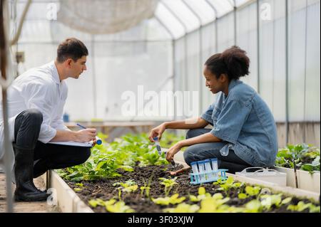Teenager Studenten studieren und analysieren Boden in Forschungsprojekt, mit Wissenschaftlern analysieren Proben im Gewächshaus. Gewächshausversuche an bodennutr Stockfoto