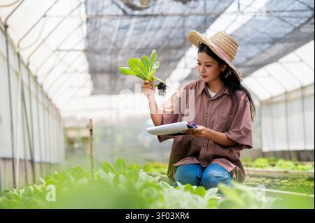 Landwirtschaftsstudentin, die frischen Salat mit Wurzel in der Bio-Gewächshausfarm hält und Salatwurzeln im Indoor-Garten, nachhaltiges Gemüse, inspiziert Stockfoto