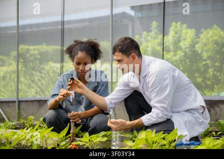 Teenager Studenten studieren und analysieren Boden in Forschungsprojekt, mit Wissenschaftlern analysieren Proben im Gewächshaus. Gewächshausversuche an bodennutr Stockfoto