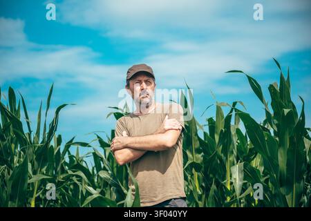 Porträt eines Bauern, der auf einem grünen Maisfeld steht, mit gekreuzten Armen, und seine Ernten vermisst. Landwirtschaft, Vertrauen, Pflanzenbewirtschaftung und ländliche Lebensbedingungen Stockfoto
