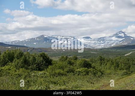 Blick auf die norwegischen Berge im Südwesten von der Straße 95 auf der schwedischen Seite der Grenze. Stockfoto