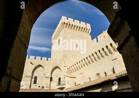 Zinnen, Turm, Mauern, Papstpalast (Palais des Papes), Avignon, Frankreich Stockfoto