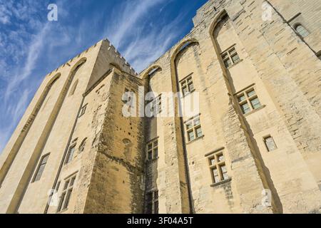 Zinnen, Turm, Mauern, Papstpalast (Palais des Papes), Avignon, Frankreich Stockfoto