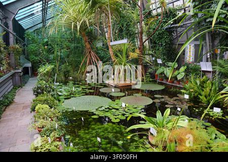 KRAKAU, POLEN - 3. JULI 2021: Gewächshaus im Botanischen Garten der Jagiellonen Universität in Krakau, Polen. Stockfoto