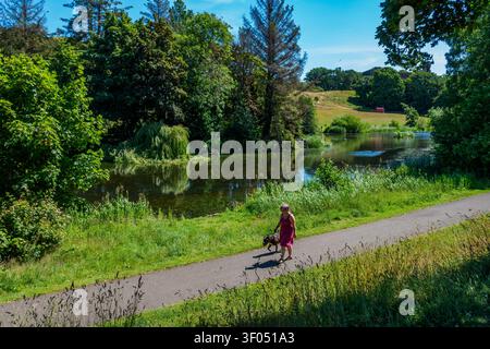 Keptie Pond in Arbroath, Angus, Schottland Stockfoto