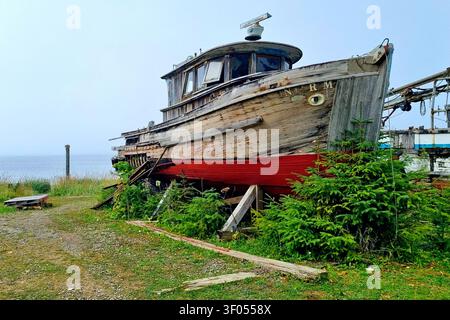 Ein altes verlassenes Holzboot ist ein lokales Wahrzeichen in Icy Strait Point, Alaska, USA Stockfoto