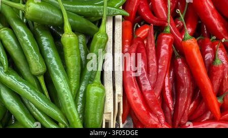 Frische grüne und rote Chilischoten, die in Marktboxen mit lebendigen Farben angeordnet sind. Lebensmittelhintergrund mit Kopierplatz für Kochen, Lebensmittelwerbung Stockfoto