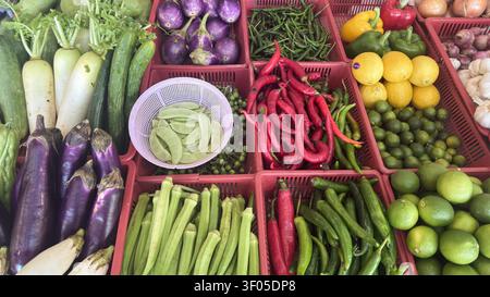 Frisches Gemüse und Zitrusfrüchte, die in Marktkörben angeordnet sind, schaffen einen lebendigen Lebensmittelhintergrund mit Kopierraum für Werbebanner-Vorlage healt Stockfoto