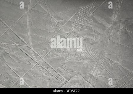 Aus der Vogelperspektive sehen Sie die berühmte Kolibri-Geoglyphen, die in die weiten Wüstenebenen der Nazca-Linien im Süden Perus eingeätzt sind Stockfoto