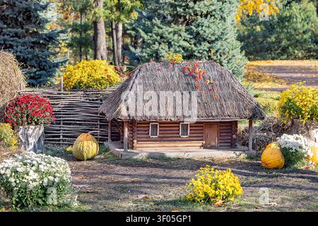 Ein kleines Holzhaus mit Strohdach steht in einem Garten, umgeben von bunten Blumen und großen Kürbissen. Die Szene zeigt satte Herbstfarben mit Stockfoto