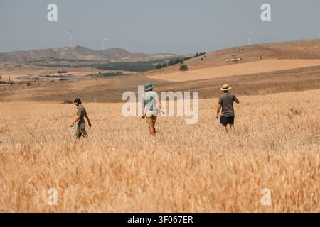 Menschen gehen durch ein goldenes Weizenfeld mit Windrädern und sanften Hügeln, die in der dunstigen Sommerlandschaft sichtbar sind. Stockfoto