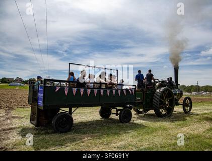 Eine alte Dampfmaschine zieht einen mit Passagieren gefüllten Anhänger an einem sonnigen Tag auf der Heddington und Stockley Dampfmesse im Juli 2026 Stockfoto