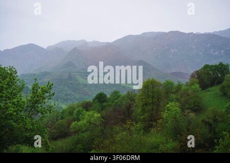 Warmes Sonnenuntergangslicht strahlt über einem üppigen grünen Feld und einer sanften Berglandschaft in Asturien, Spanien, mit mehrschichtigen Gipfeln, Bäumen und nebeligen Tälern in der Th Stockfoto
