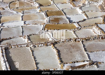 Einzelne Terrassen der Salinas de Maras, Salzterrassen an einem Berghang zur Salzgewinnung durch Verdunstung, Preinka, Inca, Maras, Pichingote Stockfoto