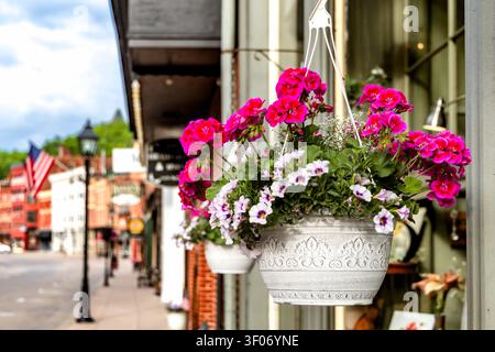 Galena, Illinois, USA - 31. Mai 2026: Rosa Geranien und weiße Petunien in einem dekorativen Hängekorb entlang der historischen Main Street in Galena, Illinois Stockfoto