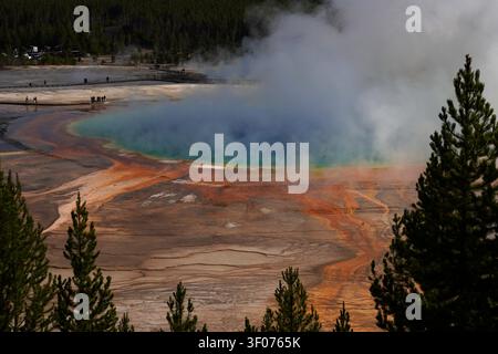 Grand Prismatic Spring im Yellowstone-Nationalpark in Wyoming Stockfoto