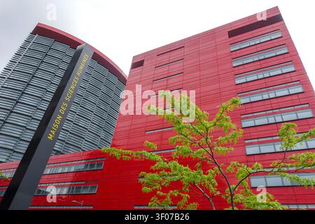 Flacher Blick auf das hellrote Gebäude des Maison des Sciences Humaines in Luxemburg-Stadt mit einem grünen Baum im Vordergrund Stockfoto