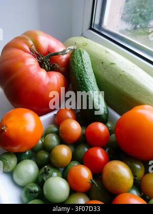 Nahaufnahme von bunten reifen Tomaten und einer Gurke auf einer Fensterbank. Stockfoto