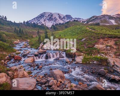 Ein rauschender Gebirgsbach fließt über Felsen durch eine grüne Wiese mit einem schneebedeckten Gipfel im Hintergrund. Stockfoto