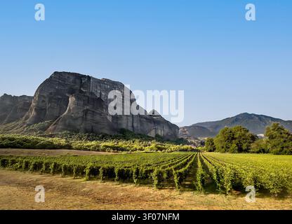 Kalambaka, Griechenland - 24. Juli 2024: Meteora-Berggruppe, auf der Klöster erbaut wurden. Weinberg davor, alles unter blauem Himmel Stockfoto