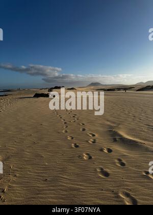 Fußspuren ziehen sich durch goldene Sanddünen in Richtung entfernter Vulkanhügel unter blauem Himmel - Kanarische Inseln, Fuerteventura, Corralejo-Sanddünenpark Stockfoto