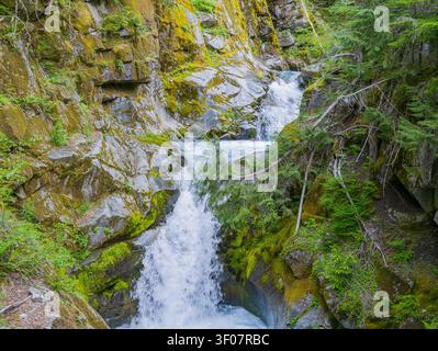 Ein rauschender Wasserfall fließt über graue Felsen, bedeckt mit grünem Moos und umgeben von immergrünen Bäumen in einer üppigen Waldlandschaft. Stockfoto