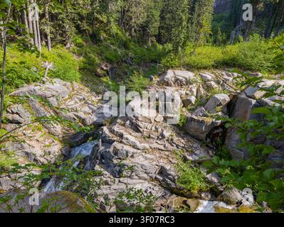 Ein kleiner Bach kaskadiert über graue Felsen und Felsbrocken durch einen üppig grünen Wald im US-Bundesstaat Washington. Stockfoto