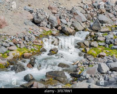 Schnell fließendes klares Wasser rauscht über graue Felsbrocken und moosige Steine in einem felsigen Gebirgsbach im Bundesstaat Washington. Stockfoto