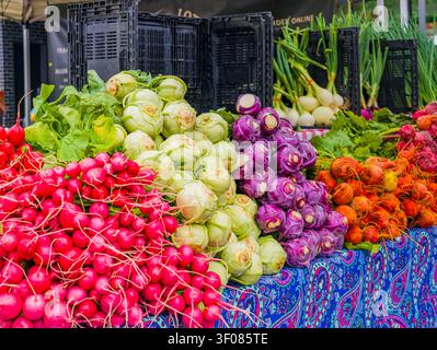 Washington State, USA, 27. Juni 2026 - farbenfrohe Stapel von Radieschen, Kohlrabi und Rüben auf einer Tischdecke im Freien Stockfoto