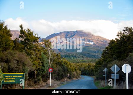 Ketetahi Wanderweg für Tongariro - Neuseeland Stockfoto