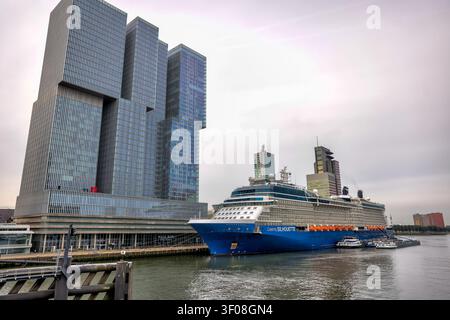 Rotterdam Skyline mit Celebrity-Kreuzfahrtschiff auf der Nieuwe Maas, Rotterdam, Südholland, Niederlande. Stockfoto