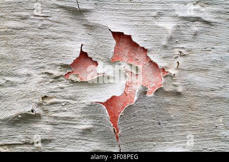 Rissiger Putz mit einem roten Wanduntergrund. Verputzung eines einstürzenden Gebäudes. Stockfoto