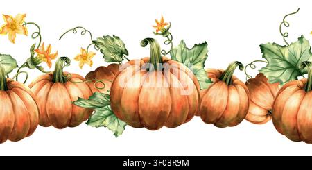 Aquarell-Kürbis-Nahtlose Bordüre, Herbstmuster auf weißem Hintergrund isoliert. Orange Frucht mit Blättern, Ranken und Blüten. Handgemalt Stockfoto