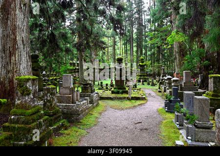 Alte Steingräber und moosbedeckte Gedenkstätten säumen einen friedlichen Waldweg unter riesigen japanischen Zedern im Okunoin-Friedhof, Berg Stockfoto