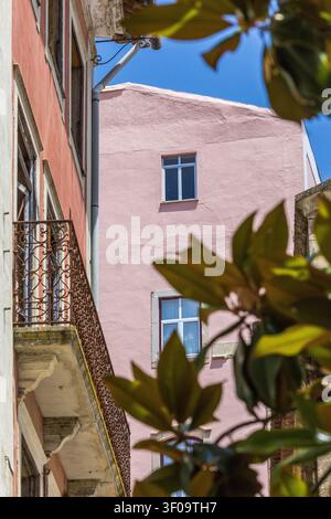 Eingefasst von verschwommenem grünen Laub zeigt eine niedrige Perspektive ein rosa Gebäude und einen orangefarbenen Nachbarn mit einem eisernen Balkon unter einem klaren blauen Himmel. Stockfoto