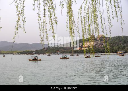 Weidenzweige hängen über den Ausflugsbooten, die den Kunming-See unter dem Longevity Hill am Sommerpalast überqueren, im Frühjahr in Peking, China Stockfoto
