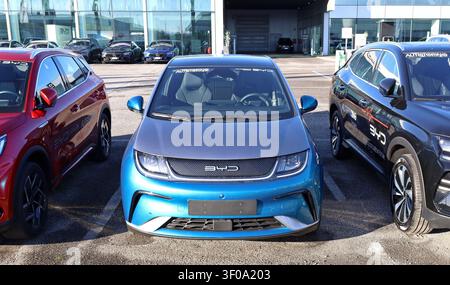 Udine, Italien. 2. Februar 2025. BYD Dolphin, vollelektrisches Stadtauto, vor dem offiziellen Händler des chinesischen EV-Fahrzeug-Herstellers. Stockfoto