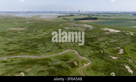 Blick aus der Vogelperspektive auf das Het Verdronken Land van Saeftinghe, ein ausgedehntes Gezeitenmoor und Brackwasserreservat in Zeeland nahe der Westerschelde-Mündung. Stockfoto