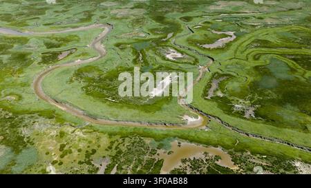 Blick aus der Vogelperspektive auf das Het Verdronken Land van Saeftinghe, ein ausgedehntes Gezeitenmoor und Brackwasserreservat in Zeeland nahe der Westerschelde-Mündung. Stockfoto