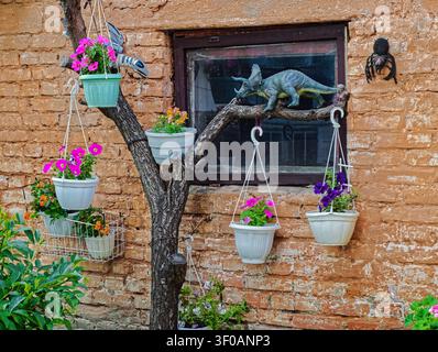 Nahaufnahme von Plastiktöpfen, die an einem verdorrten Baum mit wunderschönen mehrfarbigen Petunien in voller Blüte in einem Sommergarten in Dnipro, Ukraine, hängen, vor Stockfoto
