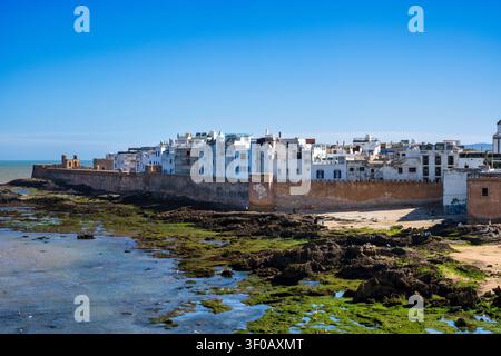 Blick auf die alten Stadtmauern und Medina von Skala du Port in Essaouira, Marokko, Nordafrika Stockfoto