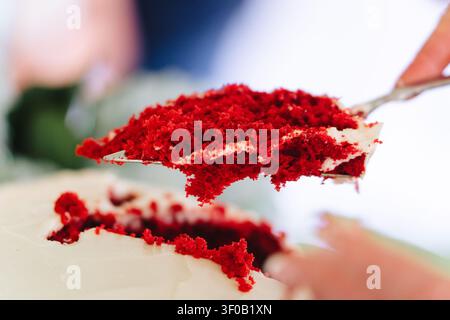 Scheibe roter Samtkuchen auf dem Server Stockfoto